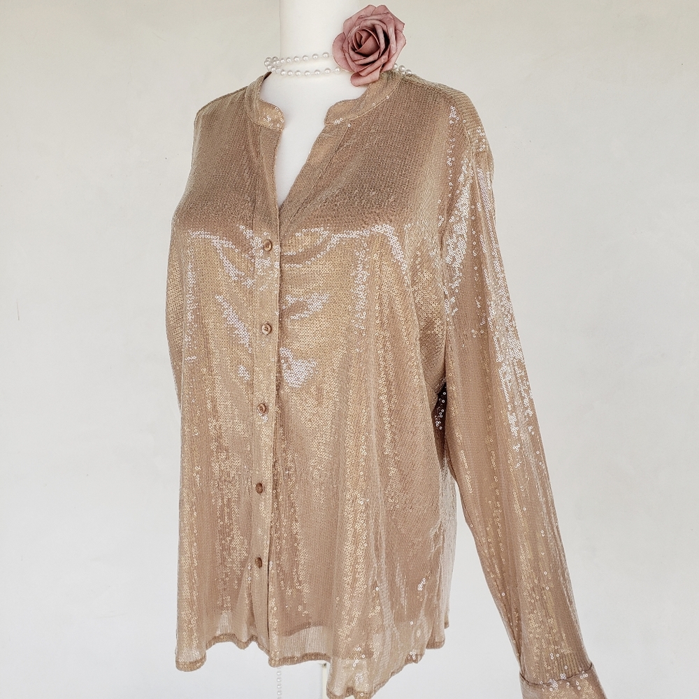 Calvin Klein Sequin Dressy Blouse Plus Size